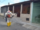 Distrito de Humildes lidera ranking de casos de dengue em Feira de Santana
