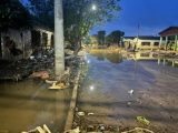 Bairros voltam a inundar na Grande Porto Alegre e moradores deixam casas