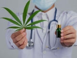 Aumenta em 300% procura por tratamentos com Cannabis Medicinal para dores e bruxismo 