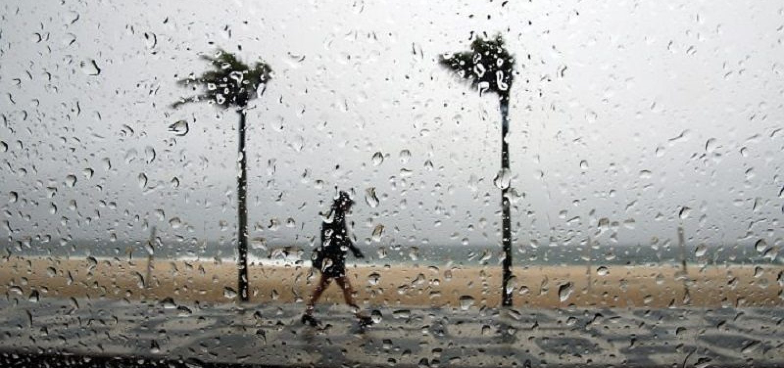 Foto: Divulgação/Flickr