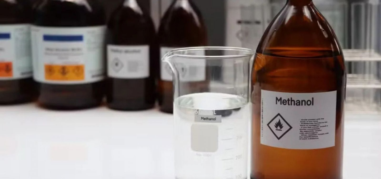 Foto: Reprodução Internet