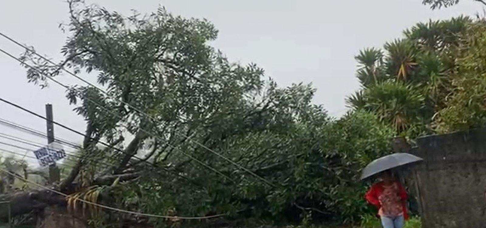 Foto: Divulgação/Coelba