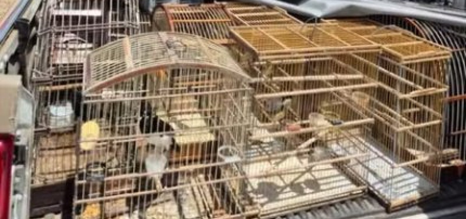 Foto: Polícia Militar