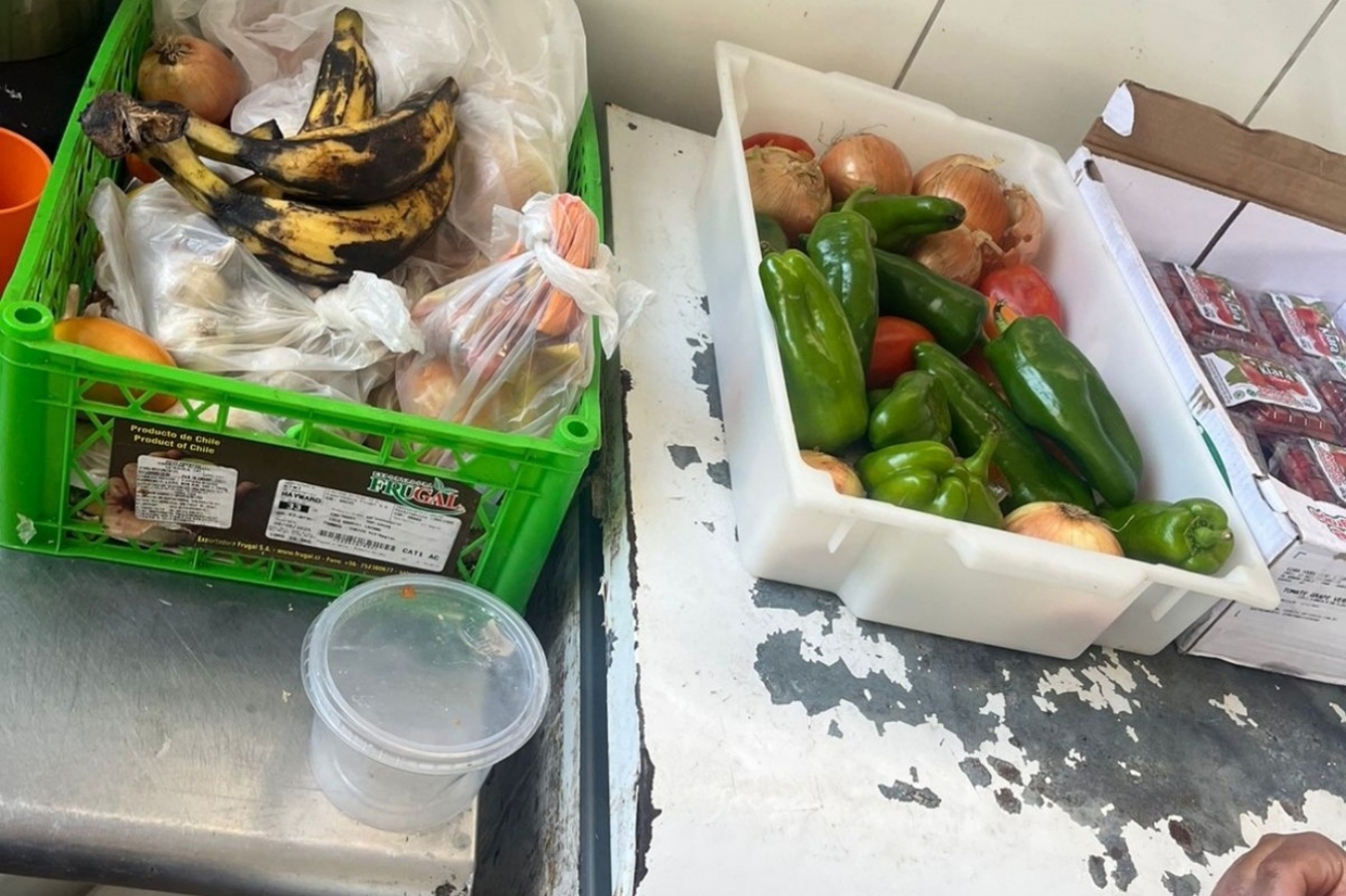 Fotos: Divulgação/SMS