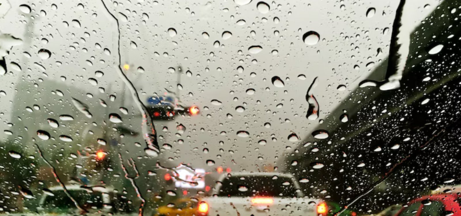 Foto: Reprodução/Freepik