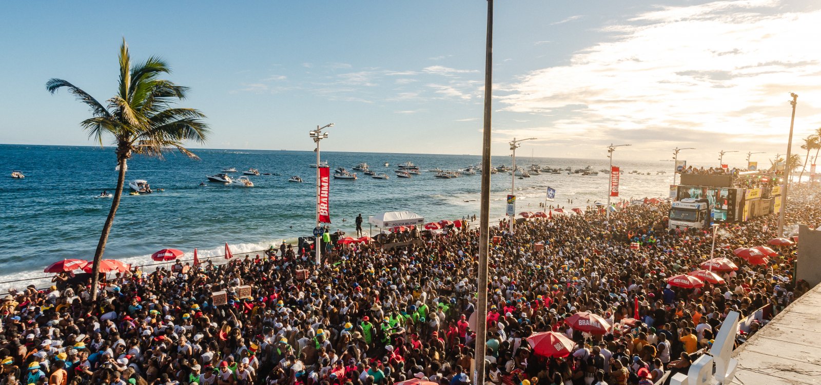 Tácio Moreira/Macaco Gordo
