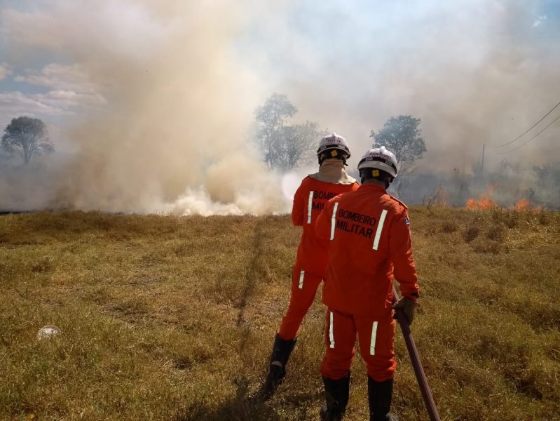 Incendios-florestais-crescem-8-na-Bahia0128481500202408292235