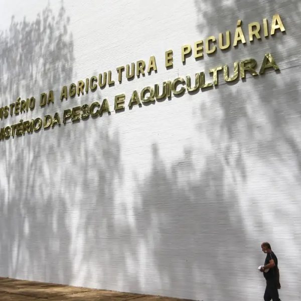 Sete-casos-de-doencas-respiratorias-em-aves-sao-investigados-no-pais