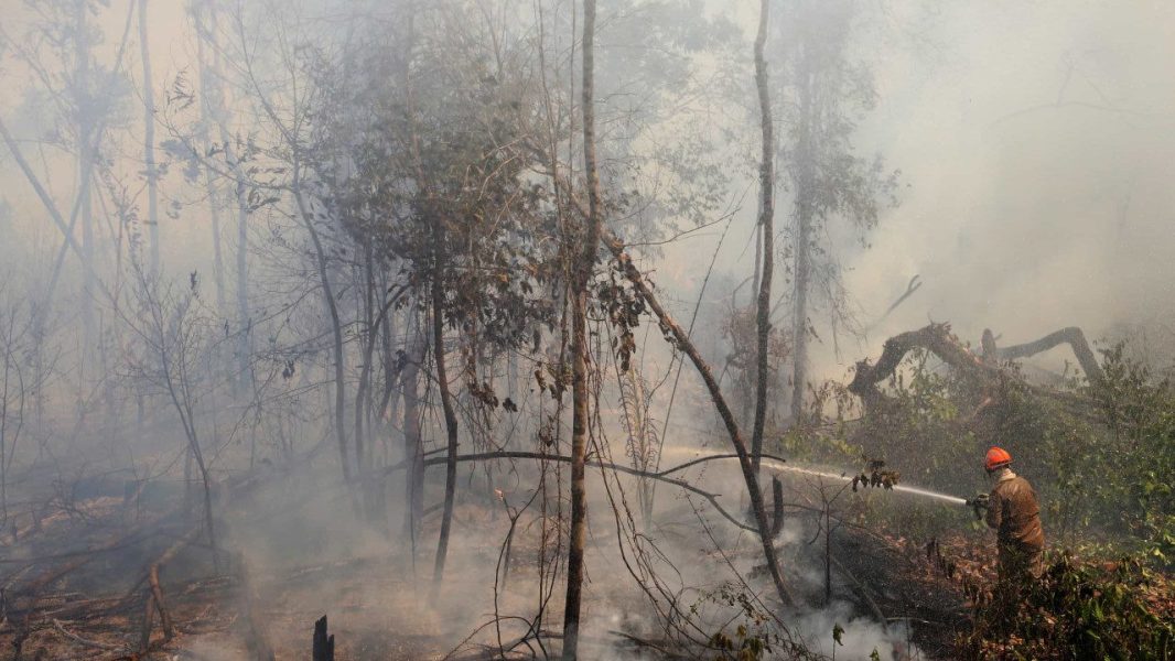 ao-menos-40-dizem-que-tiveram-a-saude-muito-afetada-por-queimadas-em-bh-e-sao-paulo