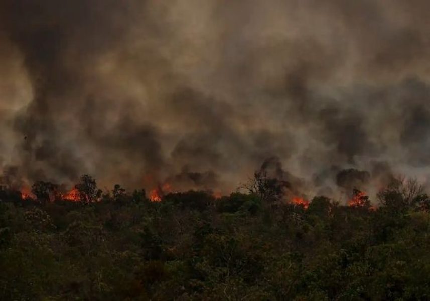 incendio-amazonia