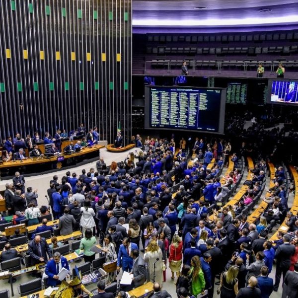 plenario-camara-dos-deputados-foto-douglas-gomes-31-01-2025